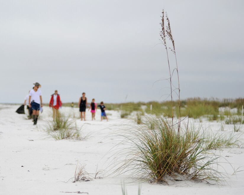 Tyndall's beaches get a deep clean > Tyndall Air Force Base > Article
