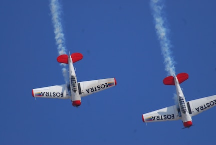 Aircraft of the Flying Lions Aerobatics Team perform in their North American AT-6 Harvard Trainers during the African Aerospace & Defense Exposition outside Pretoria, South Africa, Sept. 17, 2014. The New York Army and Air National Guard sent 15 Airmen and Soldiers, a C-17 Globemaster III transport and an RQ-7 Shadow unmanned aerial vehicle to participate in the show. They were part of a U.S. contingent of 100 service members. 