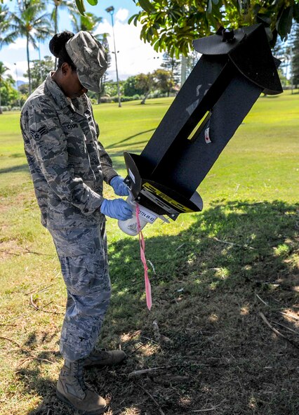 Senior Airman Joy Cooper, 647th Civil Engineer Squadron Entomology Flight journeyman, checks a coconut rhinoceros beetle trap on the golf course at Joint Base Pearl Harbor-Hickam, Hawaii, Sept. 23, 2014. The coconut rhinoceros beetle is an invasive insect that feeds on the coconut palm tree in Hawaii. The 647th CES Entomology Flight has used the traps to remove nearly 800 beetles from base this year. (U.S. Air Force photo/Tech. Sgt. Terri Paden)
