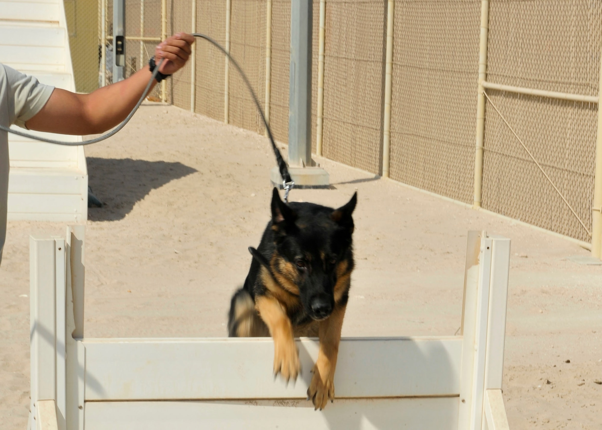 Renato a 3-year-old military working dog with the 379th Expeditionary Security Forces Squadron, jumps over an obstacle during training at Al Udeid Air Base, Qatar, Sept. 24, 2014. Military working dogs serve as a psychological deterrent and are trained to attack on command. (U.S. Air Force photo by Senior Airman Colin Cates)