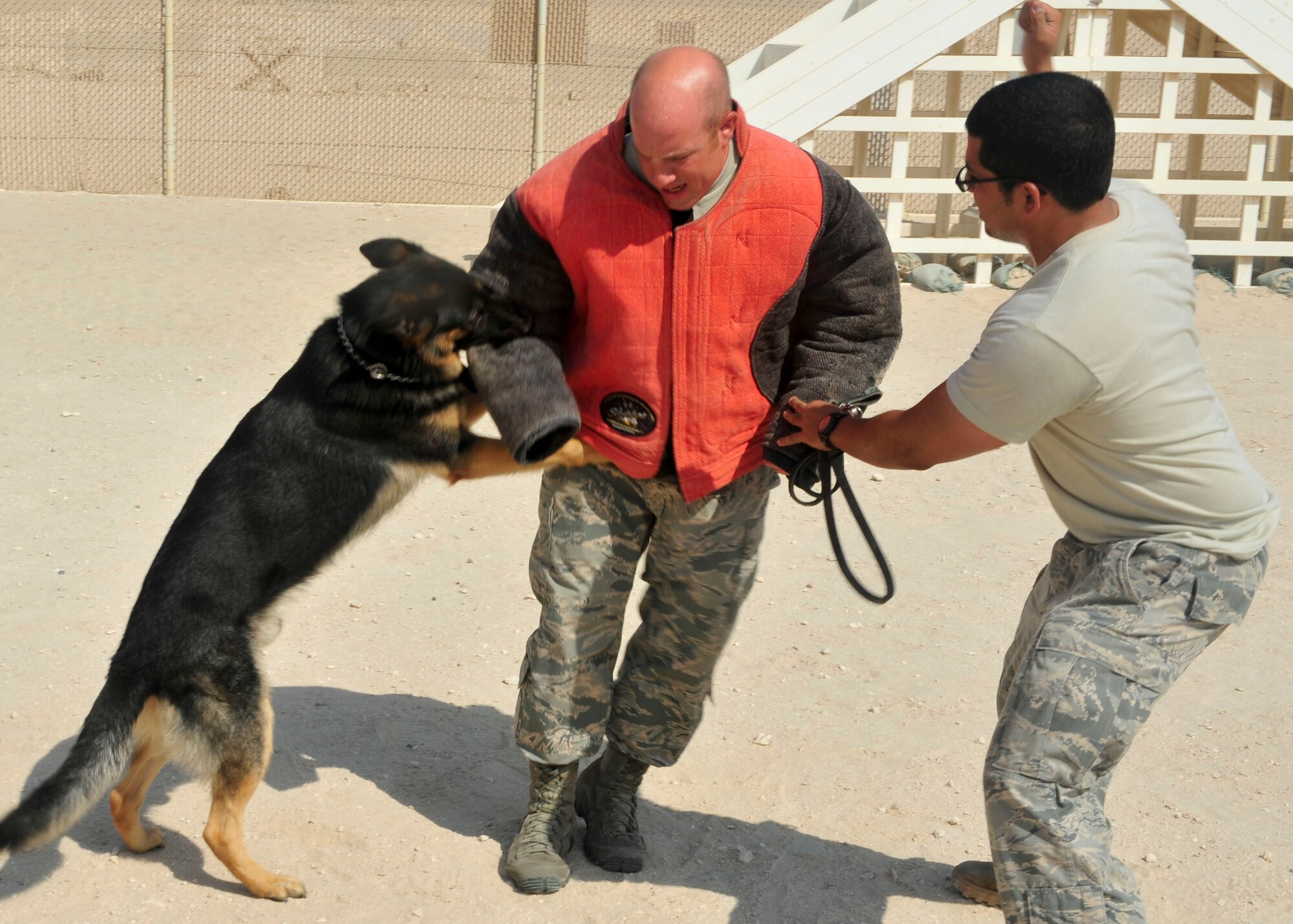U.S. Air Force Staff Sgt. Miguel Marrero, 379th Security Forces Squadron K-9 handler, instructs Military Working Dog Renato during training exercises at Al Udeid Air Base, Qatar, Sept. 24, 2014. K-9 handlers and military working dogs are trained for situations both in and out of combat. (U.S. Air Force photo by Senior Airman Colin Cates)