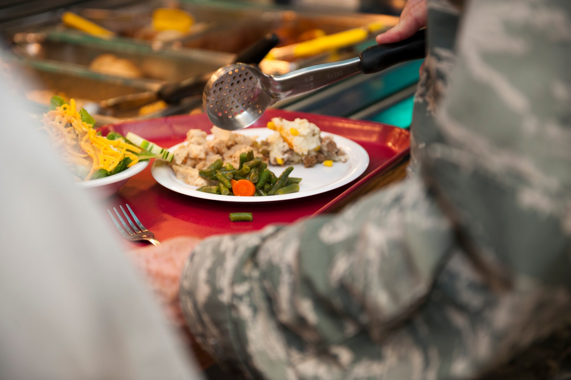 Col. Bill West, 1st Special Operations Wing commander, prepares his plate during the Go for Green event at The Reef dining facility on Hurlburt Field, Fla., Sept. 22, 2014. Vegetables are a source of nutrients that play a major role in a well-balanced diet. (U.S. Air Force photo/Senior Airman Krystal M. Garrett) 
