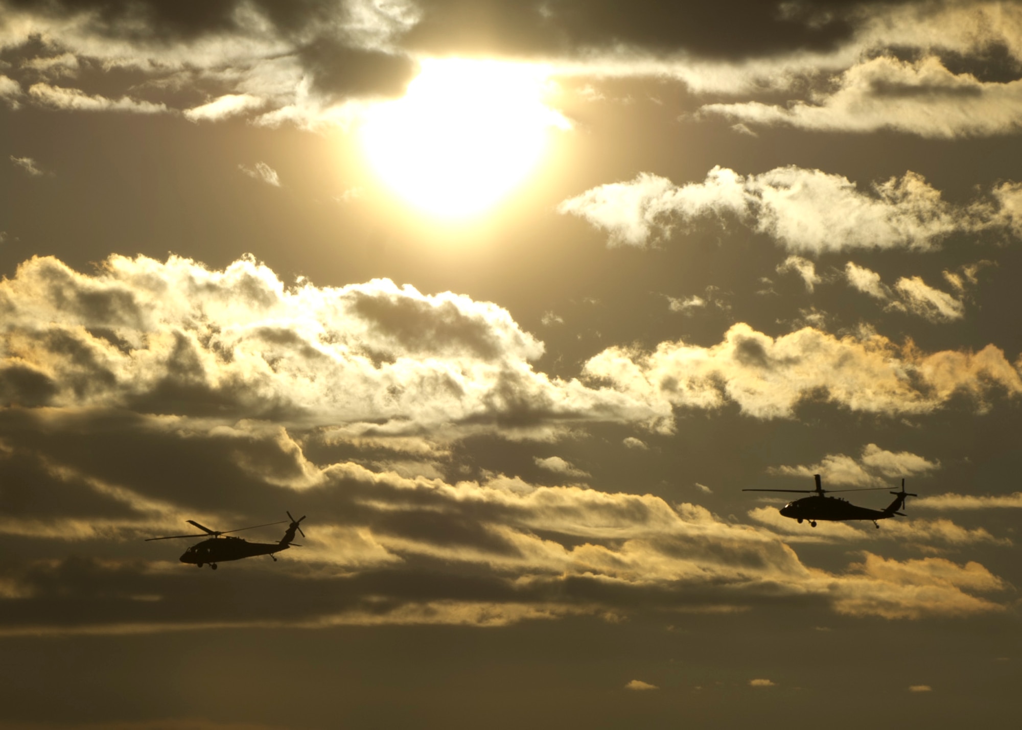 U.S. Army UH-60M Black Hawk Helicopters fly overhead during a training exercise at Holloman Air Force Base, N.M, 25 Sept. Soldiers from the 101st Airborne Division use the Holloman and White Sands Missile Range training ranges to conduct a Hostile Environment Medical Training Course, designed specifically for Close Protection Operations during deployments to high threat regions throughout the world. (U.S. Air Force photo by Airman 1st Class Chase Cannon/ Released)

