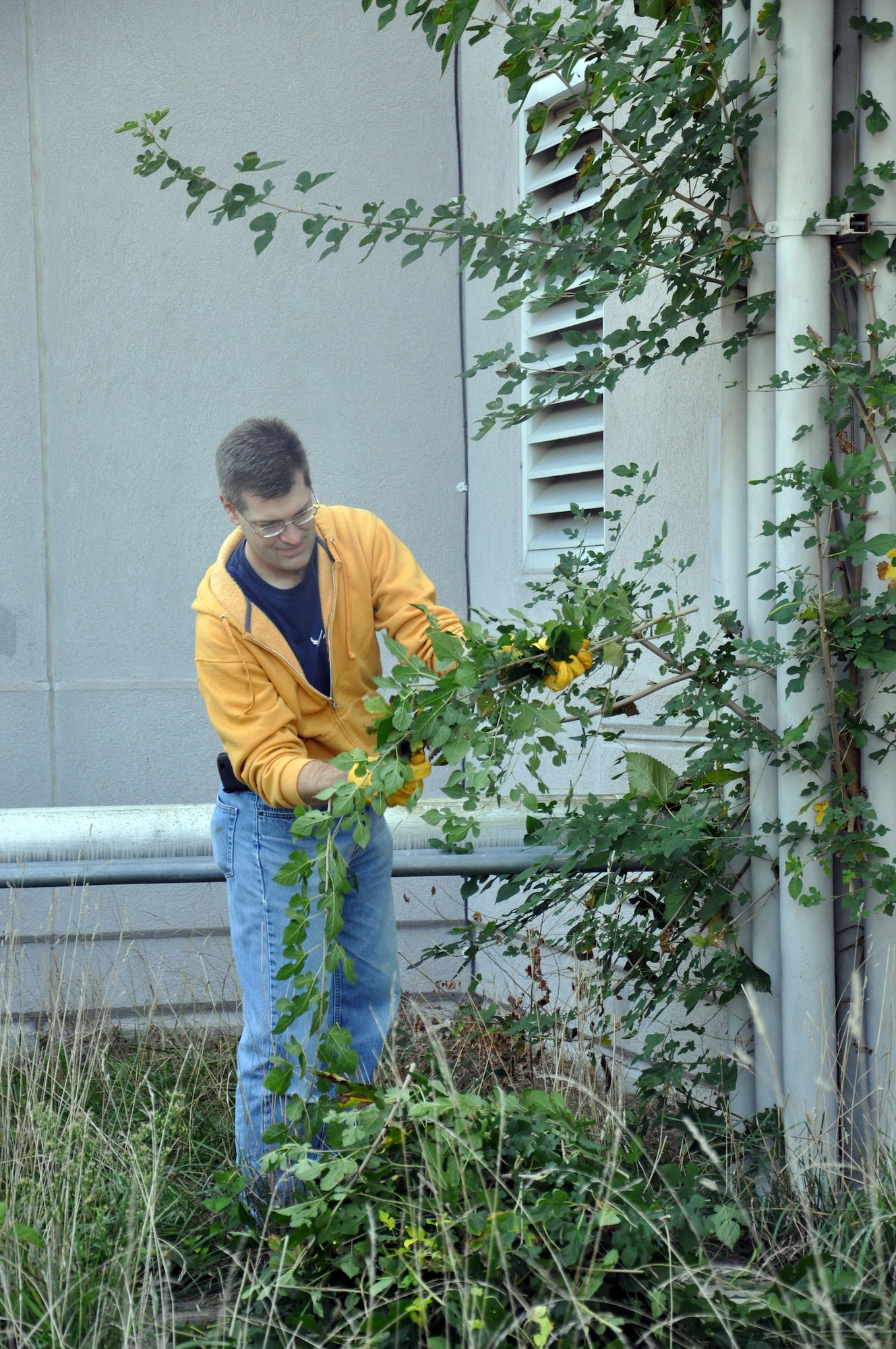 WRIGHT-PATTERSON AIR FORCE BASE, Ohio – Master Sgt. Jim Highland, 445th Mission Support Group superintendent, military personnel section, trims branches and weeds away from Building 4014 during the 445th Airlift Wing Weed and Seed Morale Day Sept. 26, 2014. The event was held to beautify the surrounding area of the wing and enhance esprit de corps. Airmen from the wing picked up trash, weeded, mowed and trimmed around the various buildings. The volunteers enjoyed doing something different and enjoyed working in teams to better their facilities and work areas (U.S. Air Force photo/Stacy Vaughn)