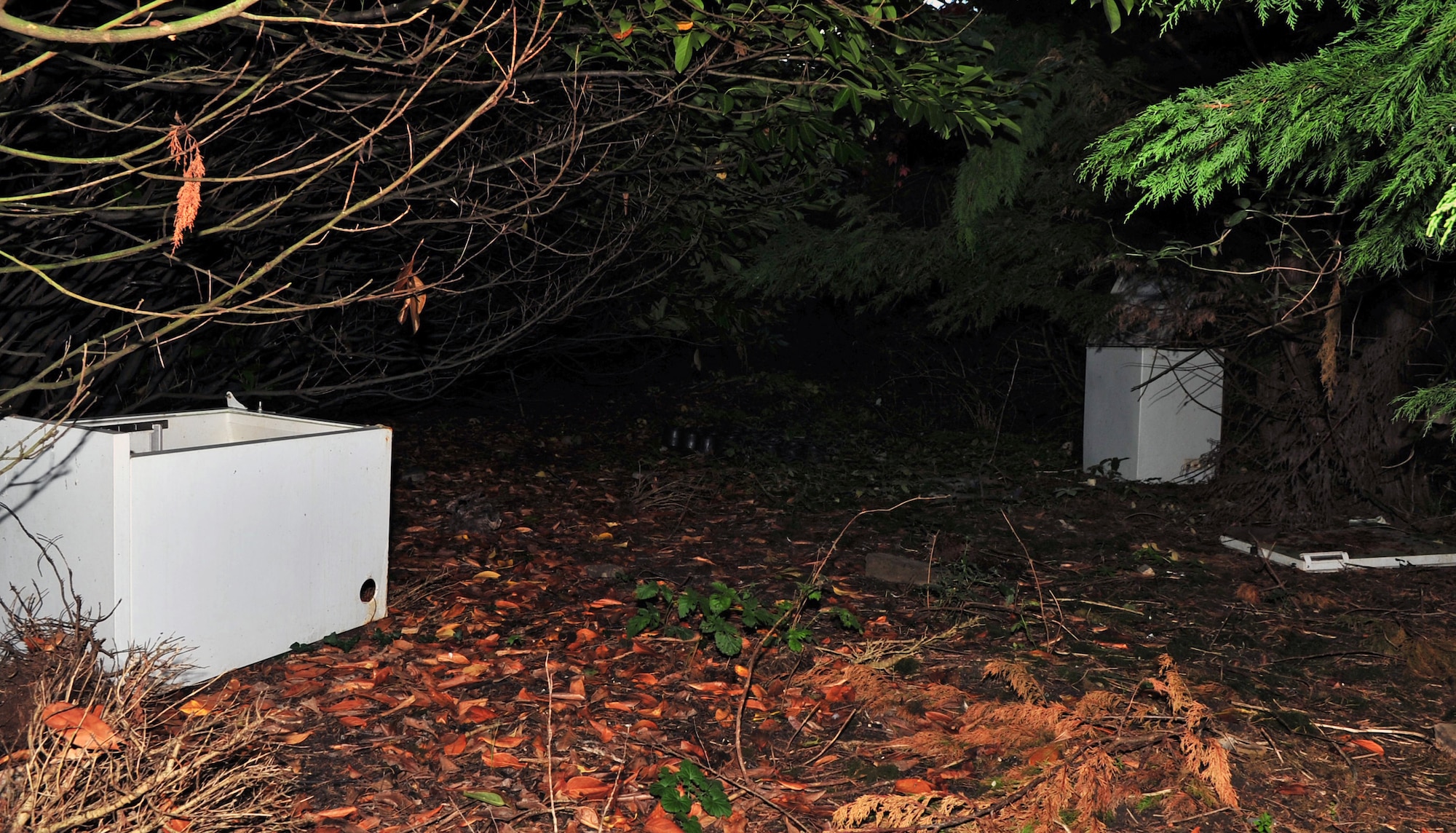 Home appliances pollute the woods Sept. 24, 2014, in Fordham, England. Fly-tipping refers to illegally dumping unwanted items, such as refrigerators, boxes, couches or other waste in areas where they shouldn’t be left. It’s a serious environmental issue and criminal activity that costs Suffolk councils around £300,000 per year. (U.S. Air Force photo/Master Sgt. Brian M. Boisvert/Released)