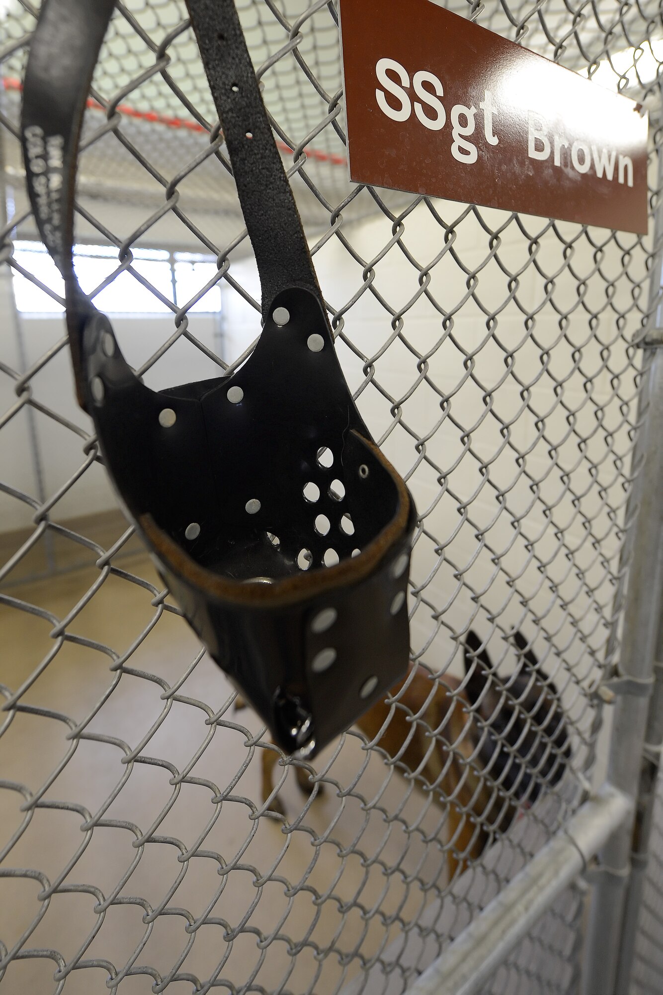 A leather muzzle hangs within an arm???s reach of ???Karlo's??? kennel gate inside the 436th Security Forces Squadron, military working dog section Sept. 17, 2014, at Dover Air Force Base, Del. Muzzles are used for the safety of the dogs and handlers. (U.S. Air Force photo/Greg L. Davis)