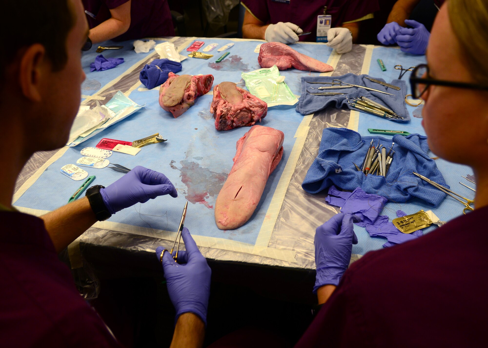 U.S. Air Force 633rd Dental Squadron dental residents practice performing simple interrupted sutures on cow tongues in the USAF Hospital Langley dental clinic at Langley Air Force Base, Va., Sep. 25, 2014. Residents often work with dental clinic patients during their training; however, the techniques they practiced on the cow tongues are preparatory for more advanced, emergency operations. (U.S. Air Force photo by Airman 1st Class Devin Scott Michaels)