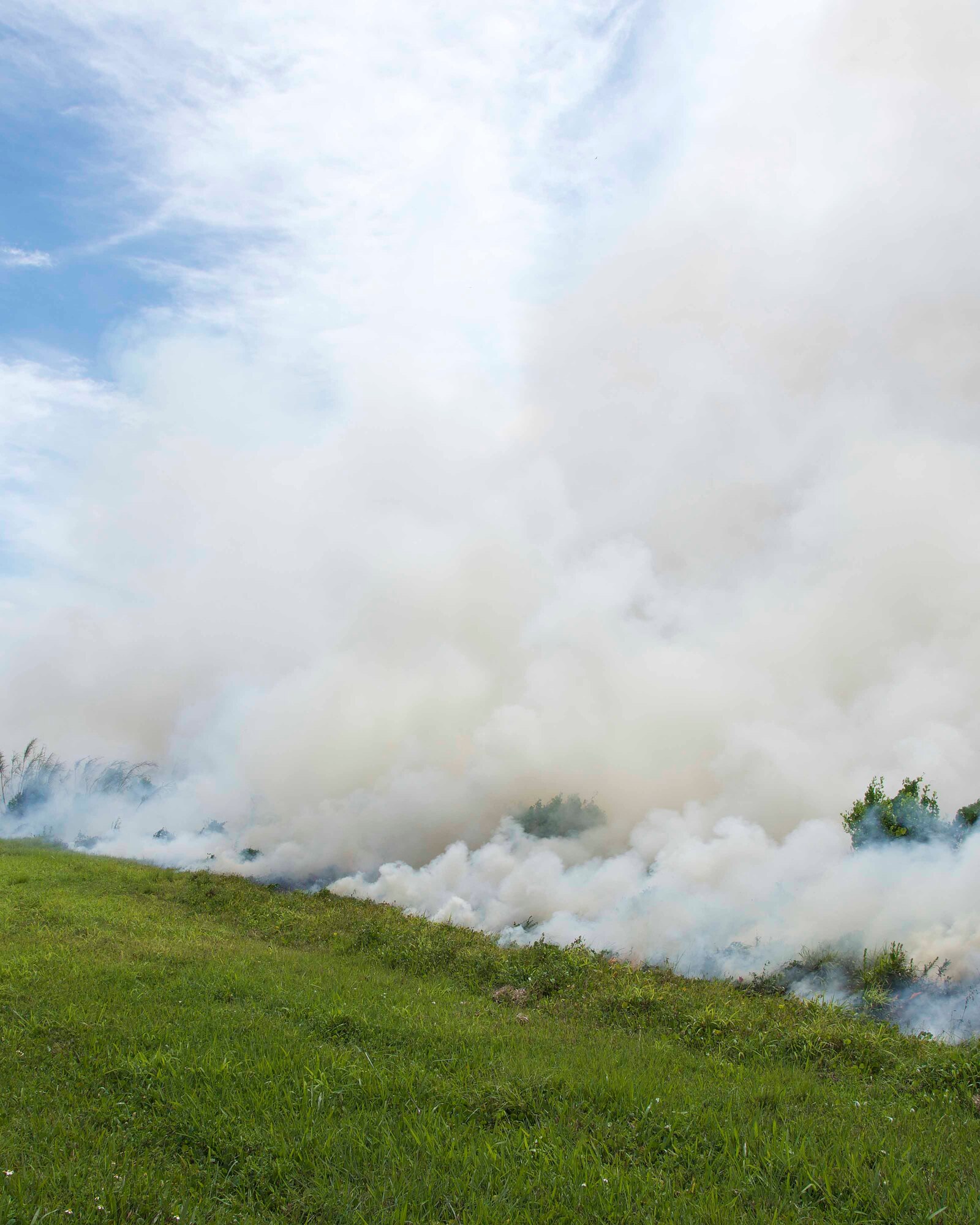 The Florida Department of Forestry Service conducted a prescribed burn at Homestead Air Reserve Base, Florida, March 30. The prescribed burn was conducted to reduce the naturally occurring fuel load like leaves and underbrush, increase visibility in thick vegetative areas, control invasive species, and reduce the large mammal wildlife population. (U.S. Air Force photo by Staff Sgt. Jaimi L. Upthegrove)