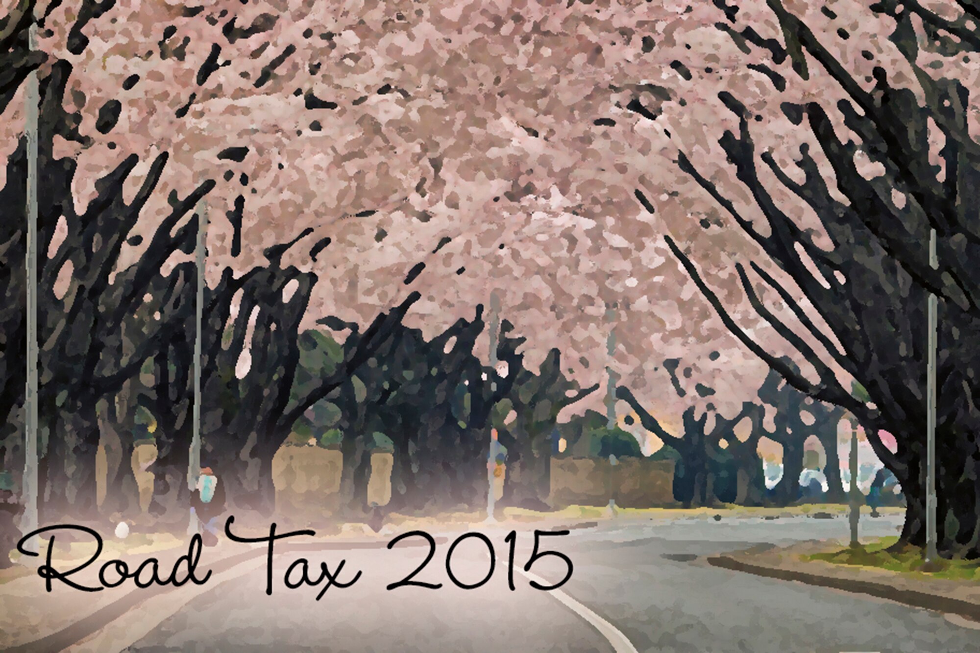 Cherry blossoms bloom on McGuire Avenue at Yokota Air Base, Japan, April 1, 2015. (U.S. Air Force graphic by Osakabe Yasuo/Released)