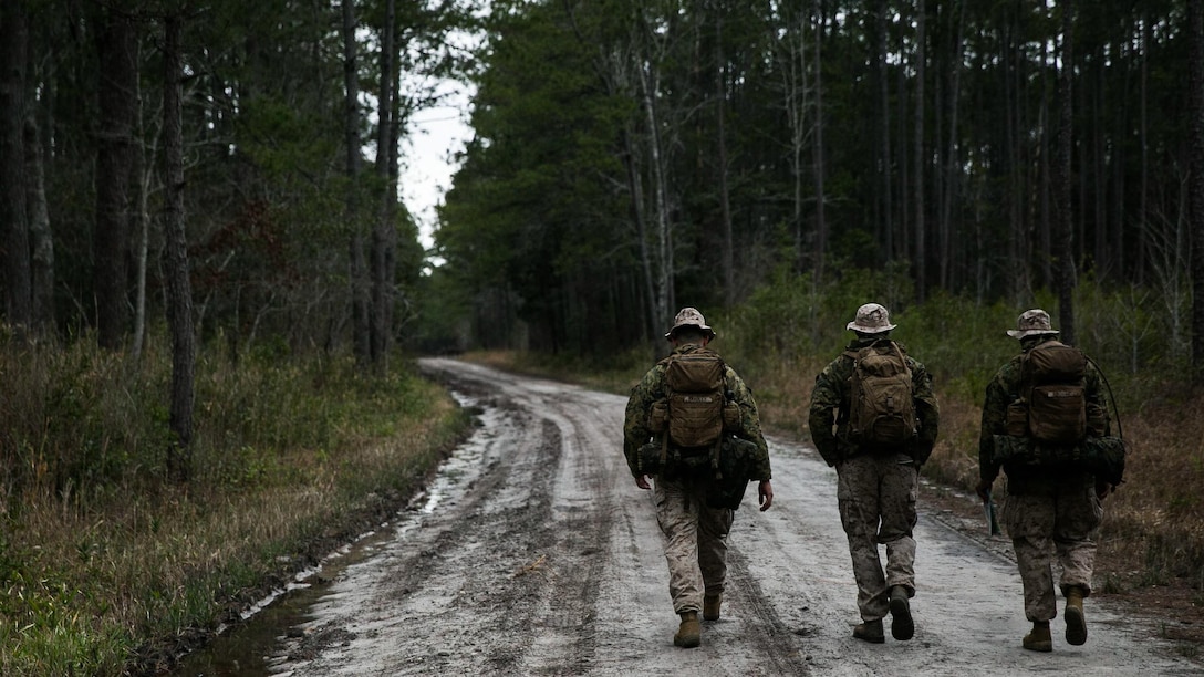 Marines with Golf Company, 2nd Battalion, 2nd Marine Regiment, walk through a heavily-wooded area during a land navigation training exercise aboard Camp Lejeune, N.C., March 30, 2015. Collectively working as a team, camaraderie is maintained throughout the exercise when overcoming obstacles, said Sgt. Michael J. Hall, a platoon sergeant with Golf Company, 2/2. 