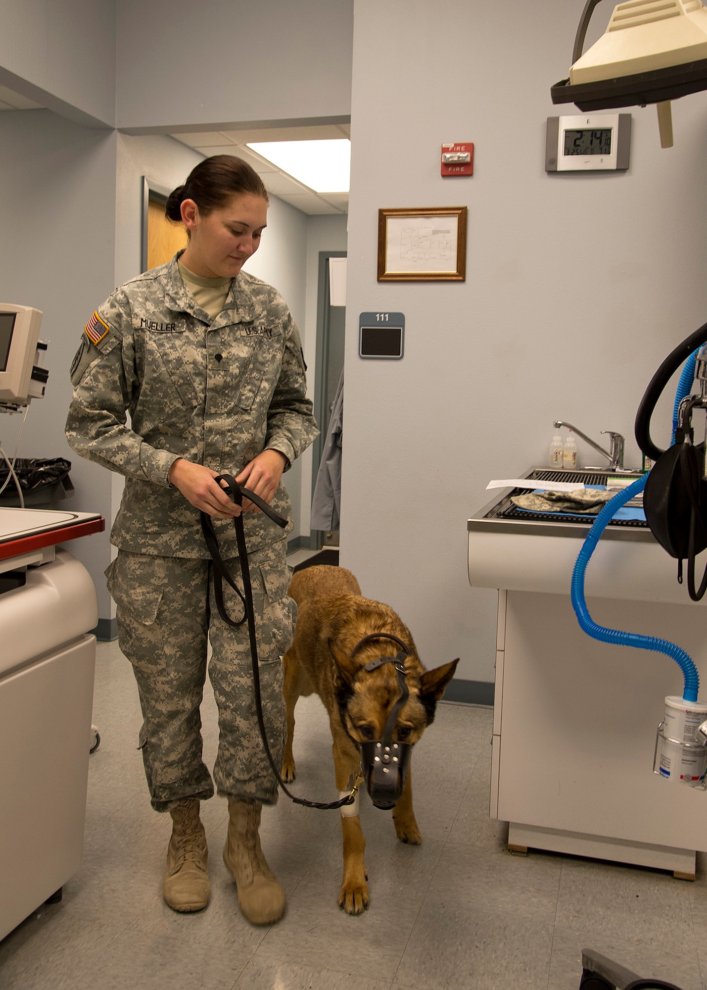 U.S. Army Spc. Paige Mueller, 50th Military Working Dog Detachment handler, Ft. Polk, La., helps her canine, Spike, recover from being sedation on Barksdale Air Force Base, La., March 25, 2015. Spike was evaluated for a root canal that ultimately did not need to be performed. (U.S. Air Force photo/Senior Airman Joseph A. Pagán Jr.)
