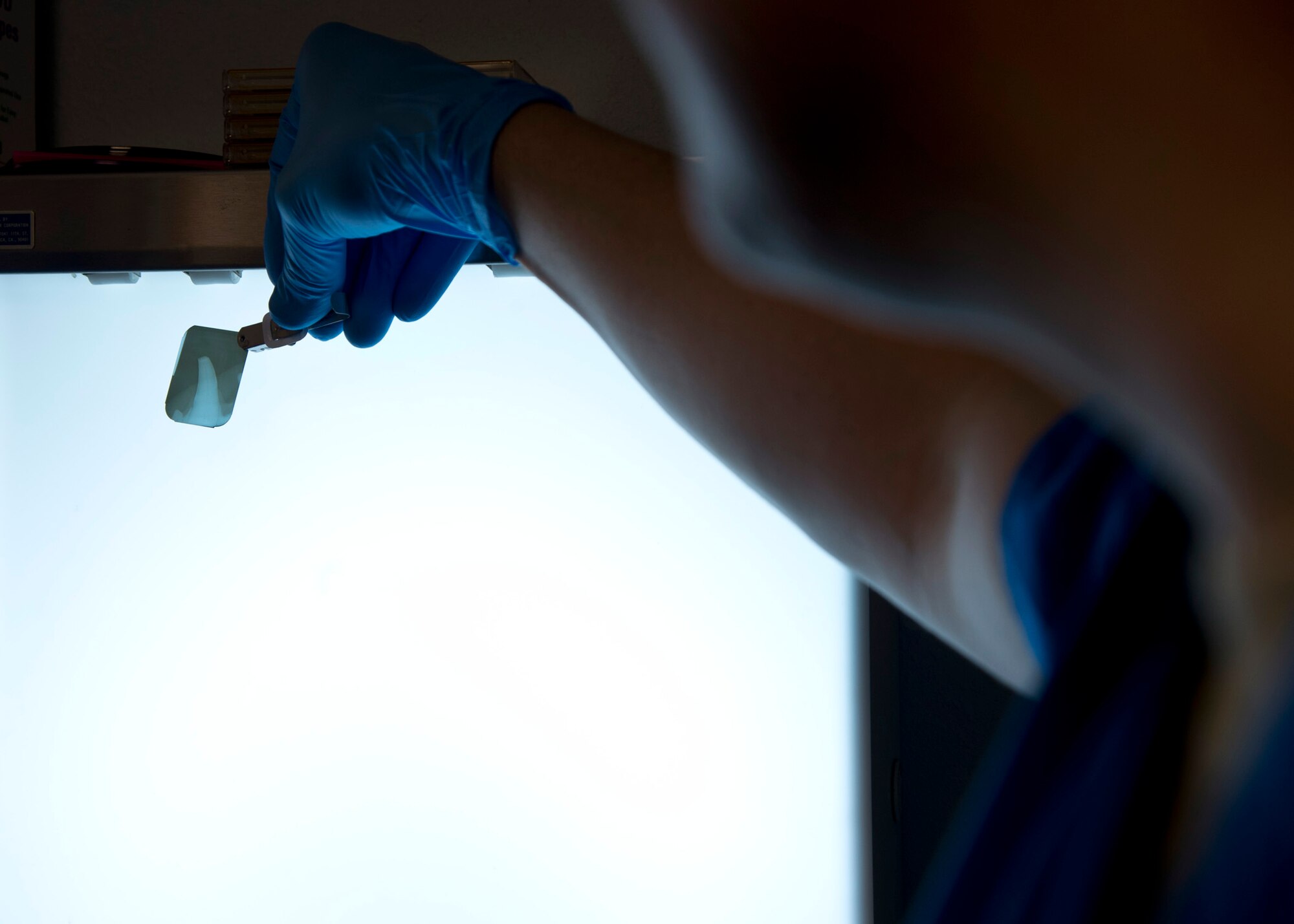 Maj. Brent Winward, left, 2nd Dental Squadron endodontist, examines a tooth from a military working dog on Barksdale Air Force Base, La., March 25, 2015. The x-ray determined there wasn’t evidence to perform a root canal on Spike, a military working dog from Ft. Polk, La. (U.S. Air Force photo/Senior Airman Joseph A. Pagán Jr.)