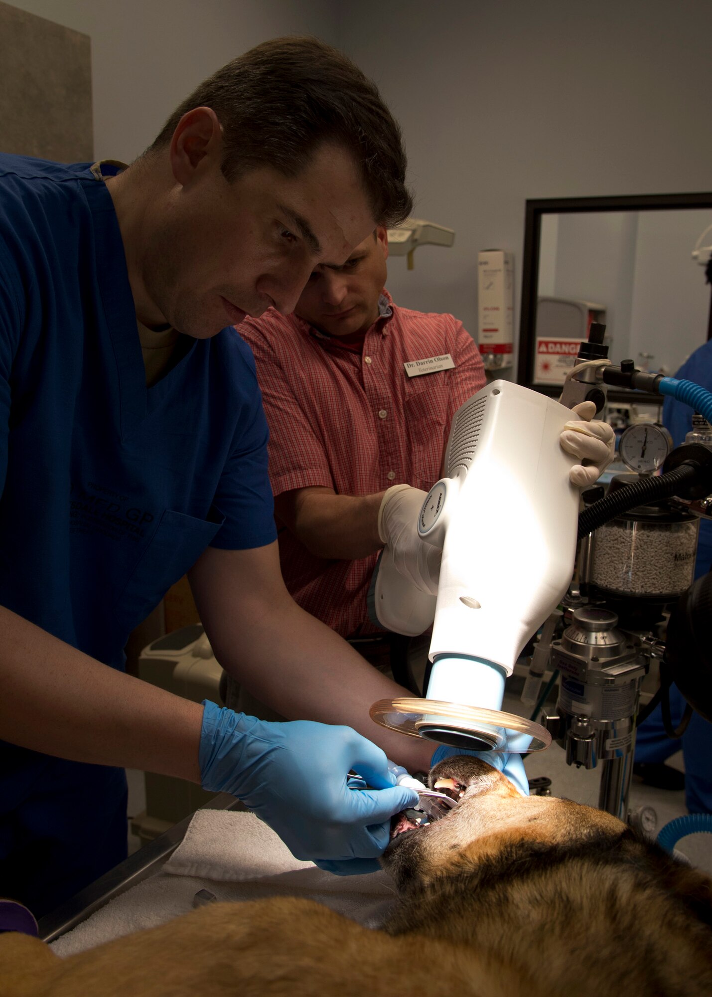 Maj. Brent Winward, left, 2nd Dental Squadron endodontist, and Dr. Darrin Olson, Veterinarian, take an x-ray on a tooth that may require a root canal on Barksdale Air Force Base, La., March 25, 2015. The x-ray will determine whether or not Spike, a military working dog from Ft. Polk, La., would require a root canal. (U.S. Air Force photo/Senior Airman Joseph A. Pagán Jr.)