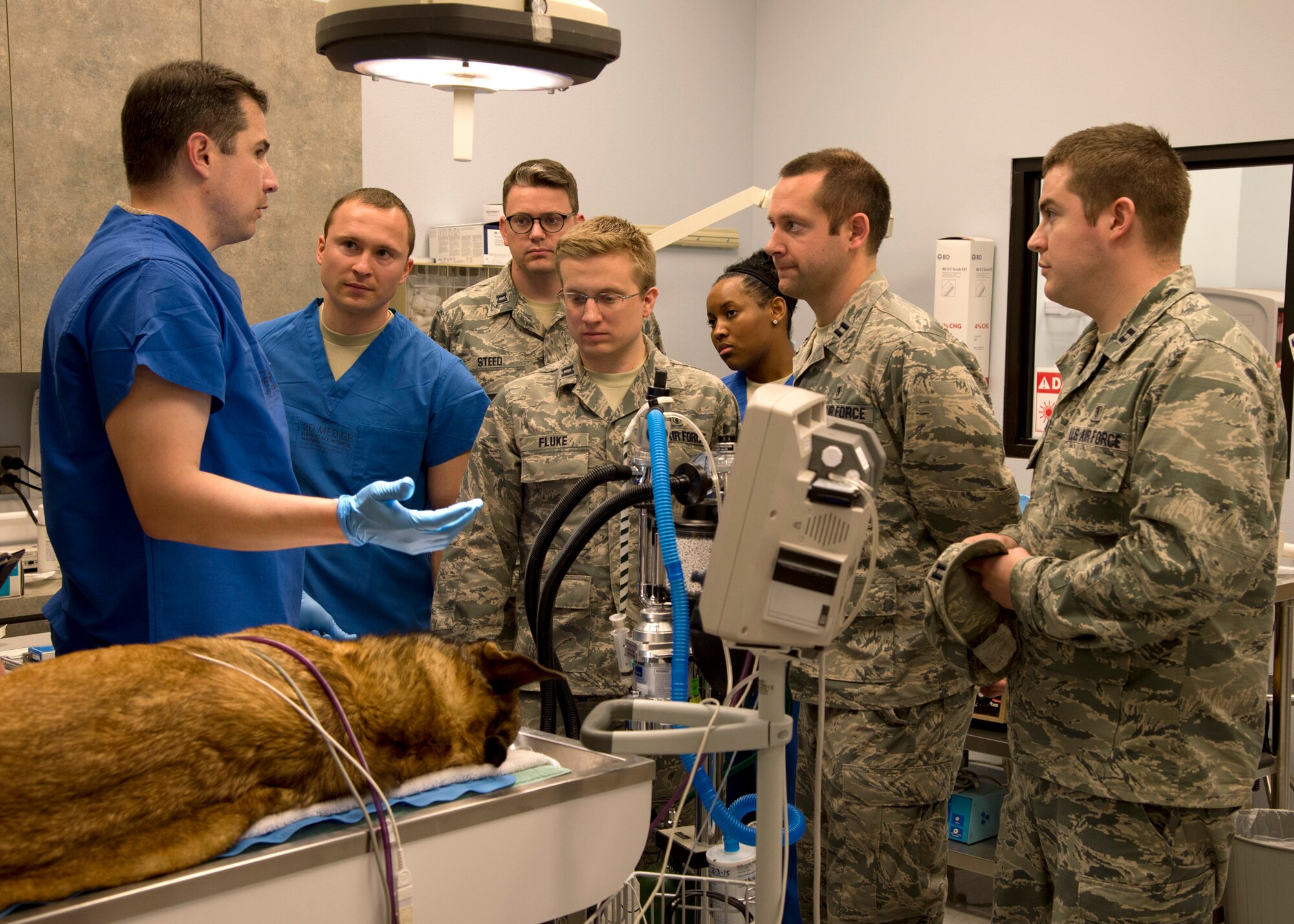 Maj. Brent Winward, left, 2nd Dental Squadron endodontist, explains the process of giving a canine a root canal to dental students on Barksdale Air Force Base, La., March 25, 2015. Winward received training while becoming an endodontist to work on the teeth of dogs. While the procedure for a root canal in dogs and humans are similar, different tools and techniques are used. (U.S. Air Force photo/Senior Airman Joseph A. Pagán Jr.)