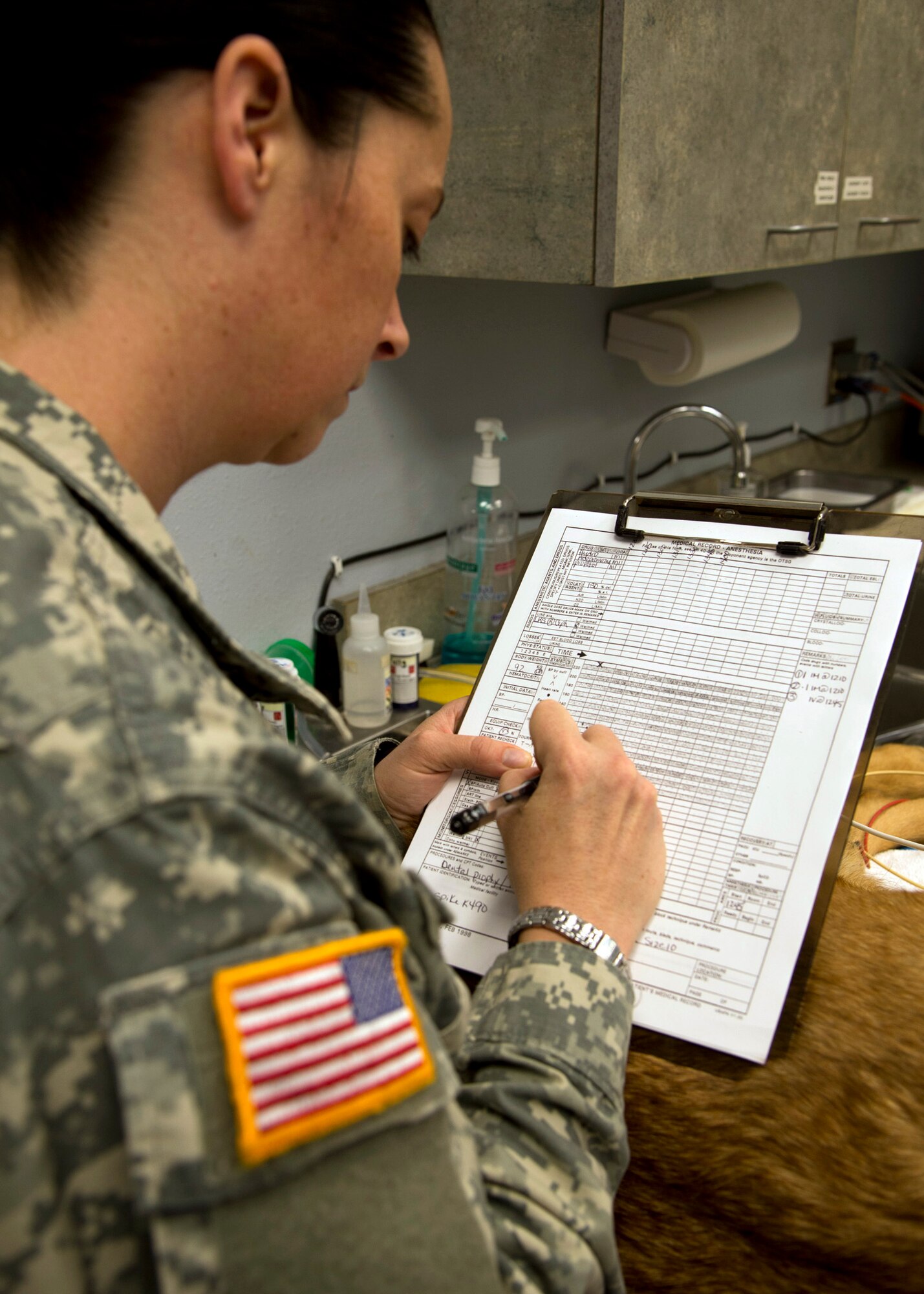 U.S. Army Sgt. Helen Loar, a veterinarian technician from Ft. Polk, La., records Spike’s, U.S. Army military working dog, vital signs while he was sedated on Barksdale Air Force Base, La., March 25, 2015. Loar assisted with helping Spike to receive a potential root canal. (U.S. Army photo/Senior Airman Joseph A. Pagán Jr.)