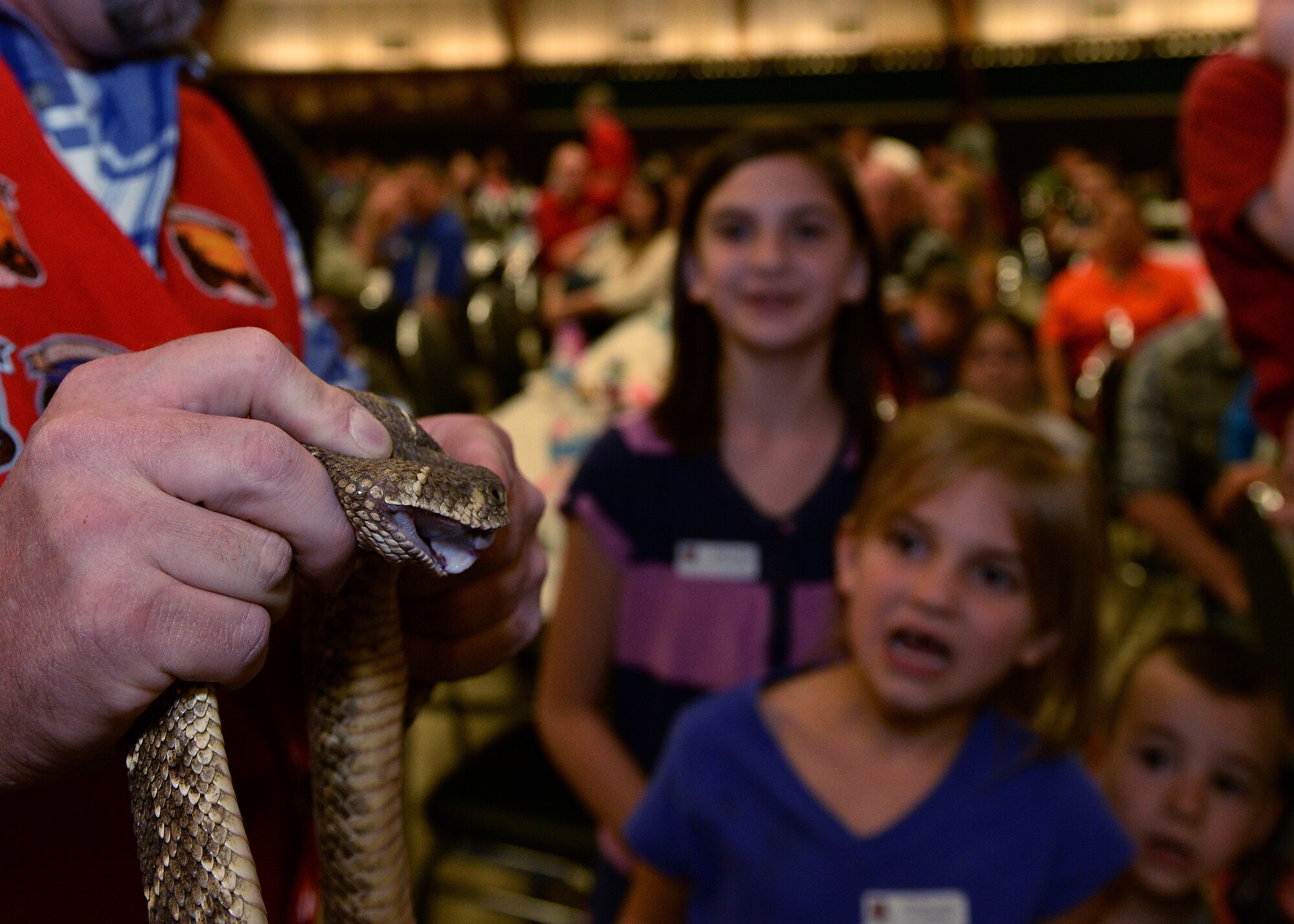 ALTUS AIR FORCE BASE, Okla. – A group of children gather around a rattlesnake on display at a Committee of 100 Dinner inside the Altus High School auditorium, March 30, 2015. Fang Masters from Mangum subdued the snakes and posed for pictures to gain awareness for the 50th annual Rattlesnake Derby, as well as to educate newcomers to Altus on the area’s history with the snakes. (U.S. Air Force photo by Airman 1st Class Megan E. Acs/Released)