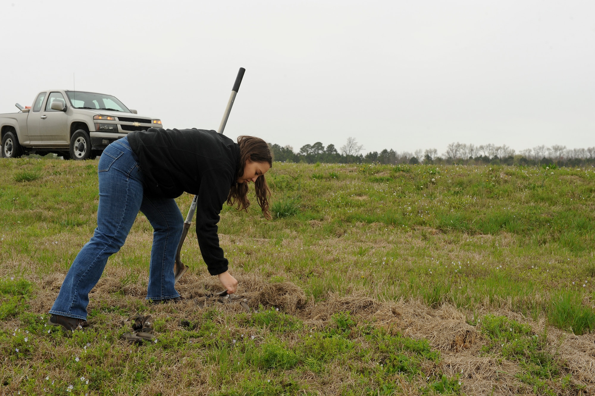 Samantha Whitworth, U.S. Department of Agriculture Animal and Plant Health Inspection Service wildlife specialist, picks up the remains of a dead bird March 30, 2015, at the City of Goldsboro Constructed Wetlands, North Carolina. Since animal remains attract scavenging birds, which pose a hazard to aircraft and aircrews, wildlife specialists are responsible for clearing the area to help prevent any mishaps. (U.S. Air Force photo/Airman 1st Class Aaron J. Jenne)