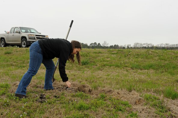 Samantha Whitworth, U.S. Department of Agriculture Animal and Plant Health Inspection Service wildlife specialist, picks up the remains of a dead bird March 30, 2015, at the City of Goldsboro Constructed Wetlands, North Carolina. Since animal remains attract scavenging birds, which pose a hazard to aircraft and aircrews, wildlife specialists are responsible for clearing the area to help prevent any mishaps. (U.S. Air Force photo/Airman 1st Class Aaron J. Jenne)