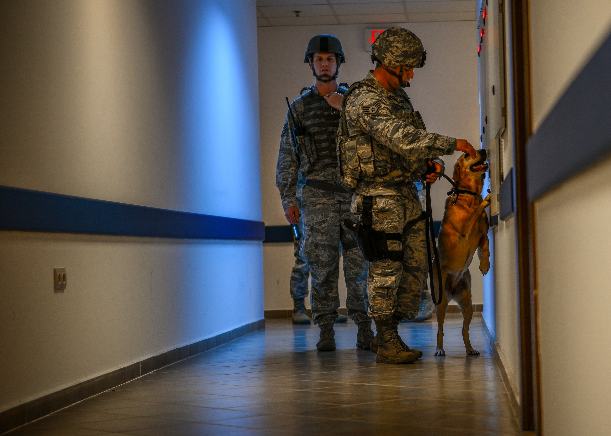 Staff Sgt. Jeremy Hammer, (left), and Julio Cervantes, 39th Security Forces Squadron military working dog handlers and Autumn, 39th SFS military working dog, search a building for explosives during an active shooter exercise March 30, 2015, at Incirlik Air Base, Turkey. The scene was declared safe after Autumn passed through the building without detecting any explosive material. (U.S. Air Force photo by Airman 1st Class Cory W. Bush/Released)