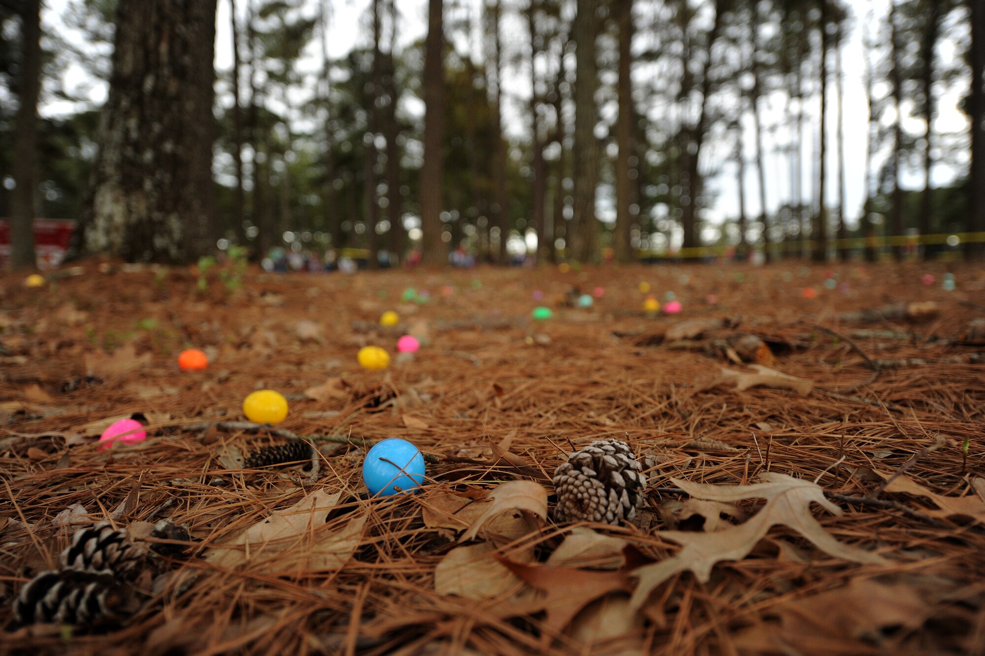 Eggs lay scattered in a field for children to find during the Month of the Military Child kickoff event April 4, 2015, at Seymour Johnson Air Force Base, North Carolina. The event featured several family activities including an egg hunt, games and pony rides. (U.S. Air Force photo/Airman 1st Class Aaron J. Jenne)