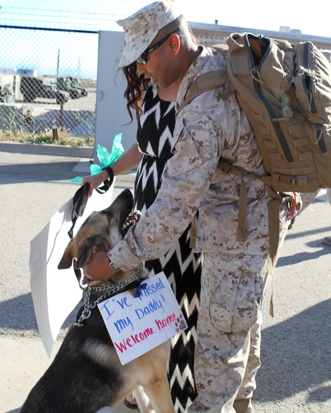 Zeus greets owner Sgt. Demarco Forch upon his return home from a seven month deployment with Special Purpose Marine Air Ground Task Force – Crisis Response – Central Command. Over 130 Marines from 3rd Low Altitude Air Defense Battalion and nine Marines from Marine Unmanned Aerial Vehicle Squadron 1 met with family, friends and coworkers upon their return to Camp Pendleton, Calif., April 4, 2015.