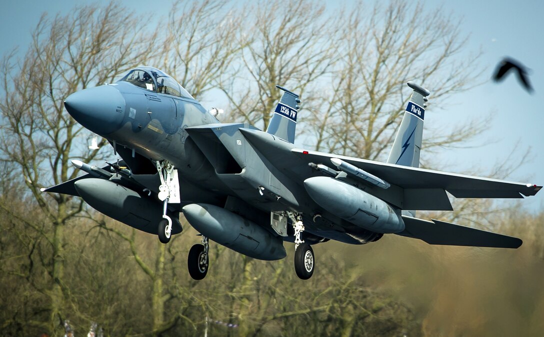 A U.S. F-15C Eagle lands at Leeuwarden Air Base in the Netherlands, March 31, 2015.  

