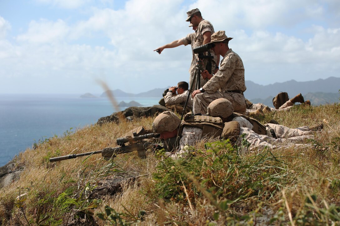 Marine scout snipers with Weapons Company, 2nd Battalion, 3rd Marine Regiment, conduct high angle shooting on Range 10 aboard Marine Corps Base Hawaii April 8, 2015. The training was different from their typical flat level or slight elevation ranges. The high angle is considered anything 30 degrees or greater. 