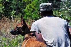 Staff Sgt. Terrell Beasley, 1st Special Operations Security Forces Squadron military working dog handler, and MWD Qquaray search a field for a suspect, April 8, 2015, at Hurlburt Field, Fla. The training was designed to allow the handler and MWD to track a suspect using sound. (U.S. Air Force photo/Airman 1st Class Ryan Conroy) 