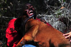 Staff Sgt. Terrell Beasley, 1st Special Operations Security Forces Squadron military working dog handler, feels the bite of MWD Ziko during training, April 8, 2015, at Hurlburt Field, Fla. MWDs are trained to conduct multiple mission sets; their training includes obedience skills, obstacle courses and other objectives depending on the dog’s specialized skill. (U.S. Air Force photo/Airman 1st Class Ryan Conroy)