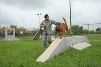 Staff Sgt. Michael Sengphradeth, 902nd Security Forces Squadron military working dog handler, leads his dog over an obstacle April 8, 2015 at Joint Base San Antonio-Randolph, Texas. The 902nd SFS military working dog handlers guide their dogs through an obstacle course daily to ensure their dog is prepared to jump over objects such as a wall, vehicle or window and to obey their trainer’s commands to do so in an emergency. (U.S. Air Force photo by Joel Martinez/ Released)