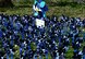 Blue and silver pinwheels were placed near the duck pond on Royal Air Force Lakenheath, England, April 10, 2015 to designate reports of child abuse from the past three years. For every pinwheel placed around the pond, two reports of child abuse are represented. (U.S. Air Force photo by Airman 1st Class Dawn M. Weber/Released)