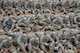 United States Air Force basic trainees eat Meals Ready to Eat, or MREs, for lunch at the Basic Expeditionary Airman Skills Training site at Joint Base San Antonio-Lackland, Texas, April 8, 2015. Known as the 