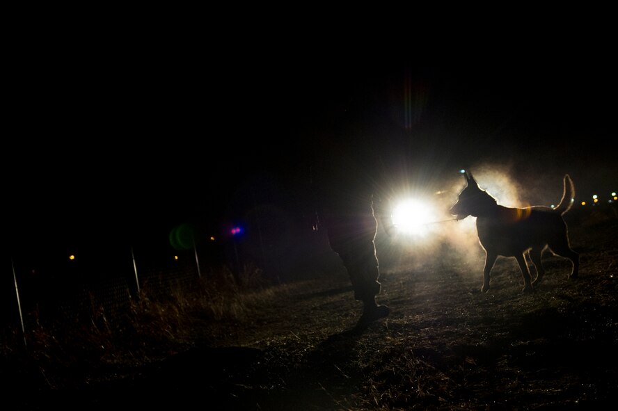 Staff Sgt. Stephen Nores, 5th Security Forces Squadron military working dog handler and MWD Ppadric, patrol the perimeter on Minot Air Force Base, N.D., April 8, 2015. A regular work day for the two consists of patrols, random searches on vehicles entering and exiting the base, and searches in and around buildings and vehicles. (U.S. Air Force photo/Senior Airman Brittany Y. Bateman)