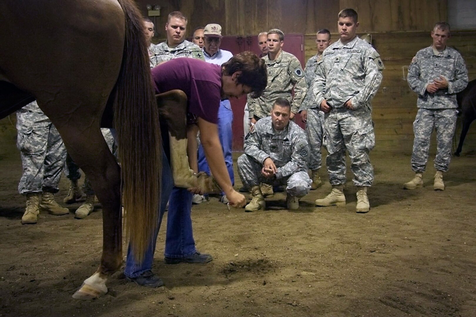 Sheryl King, director of equine studies at Southern Illinois University Carbondale, demonstrates the correct way to clean a horse's hoof to members of the Illinois National Guard's Agriculture Development Team. The team of agricultural specialists will deploy to Afghanistan in 2011 as part of a program to bring more modern agricultural practices to Afghanistan.