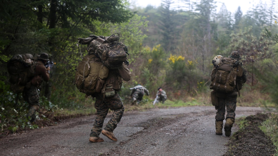 Reconnaissance and surveillance patrol hones Marines’ readiness