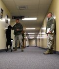 Tech. Sgt. Robert Calhoun, 341st Security Forces Squadron military working dog trainer, right, and Staff Sgt. David Nierzwicki, 341st Security Forces military working dog handler, and his MWD Zsabi, preform bomb detection training at the base headquarters April 16, 2015, at Malmstrom Air Force Base, Mont. During the two nights of training the team checked vehicles and buildings looking for any possible threats. (U.S. Air Force photo/Chris Willis)  