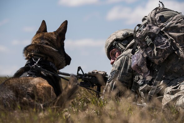 Staff Sgt. Joshua Rettschlag, 366th Security Forces Squadron military working dog handler, talks to his dog Onur during the Gunfighter Flag 15-2 exercise at the Saylor Creek Range, Idaho, April 15, 2015. When deployed, military working dogs provide tracking and detection information to their handlers during missions. (U.S. Air Force photo by Airman Connor J. Marth/RELEASED)