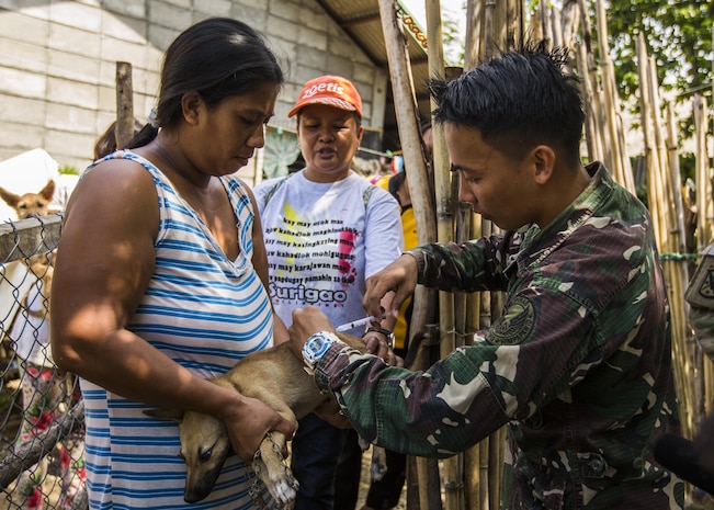 An Airman from the Armed Forces of the Philippines gives a dog the rabies vaccine in Puerto Princesa, Philippines, during exercise Balikatan 2015, April 18. The AFP and U.S. Armed Forces conducted the vaccinations to prevent the spread of rabies and raise the overall health of animals in the area. This year marks the 31st iteration of the annual Philippine-U.S. bilateral training exercise and humanitarian civic assistance engagement.)
