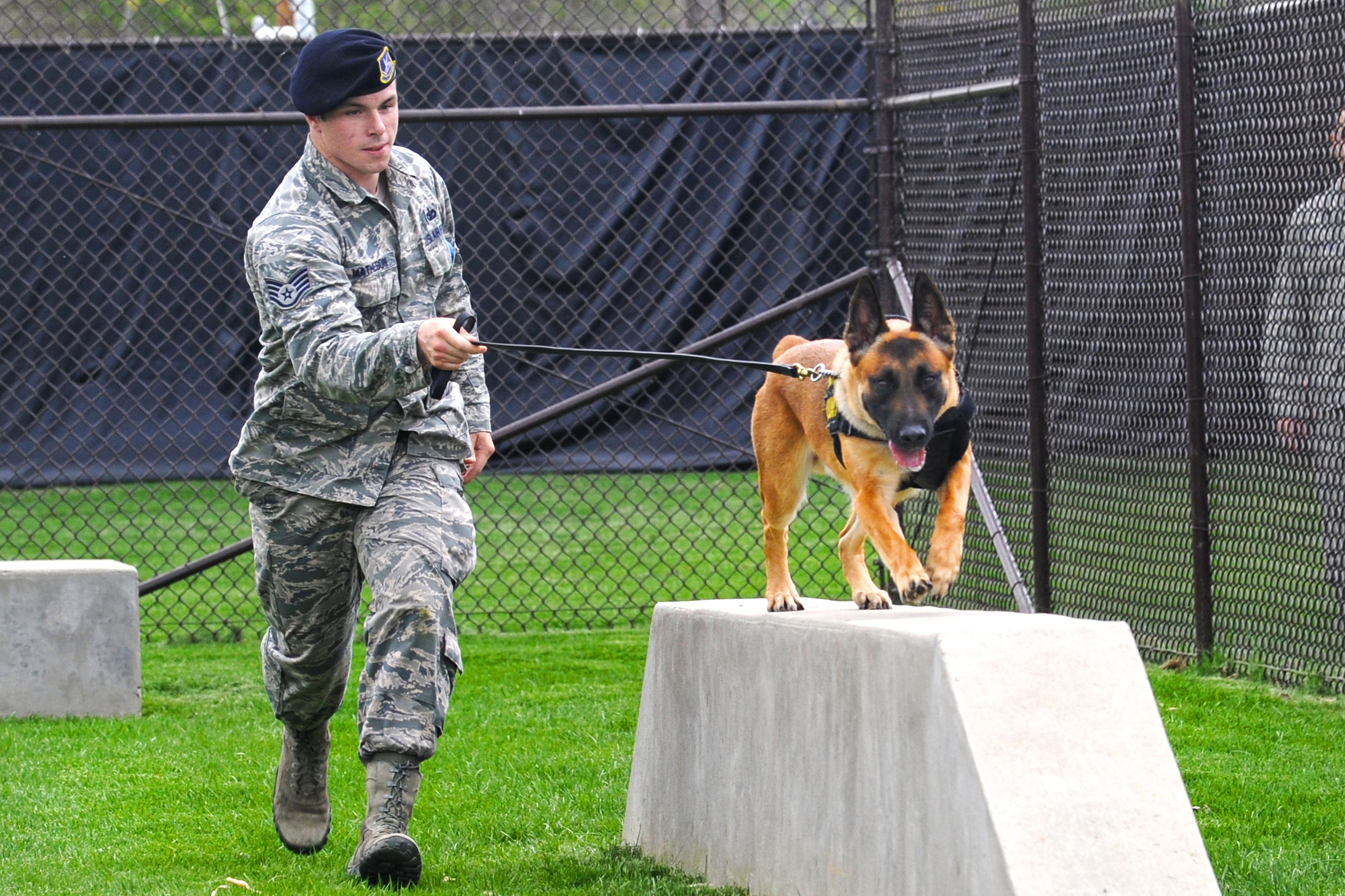 375th security forces squadron