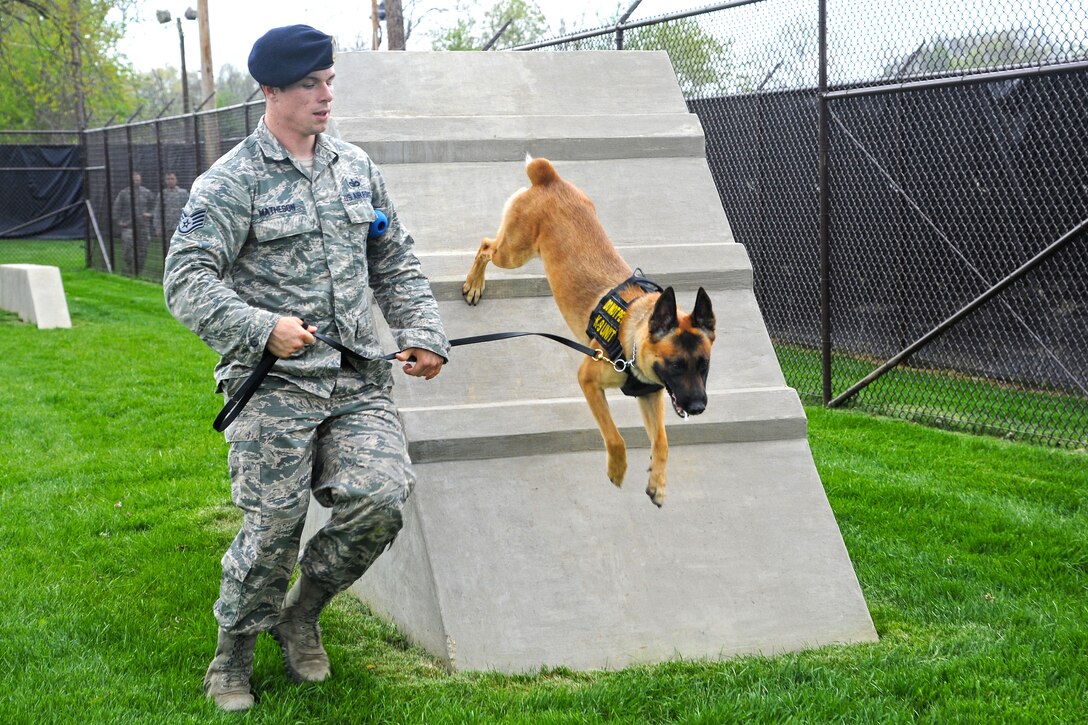 Air Force Staff Sgt. James Matheson runs military working dog Rromesha though an obstacle course on Scott Air Force Base, Ill., April 16, 2015.