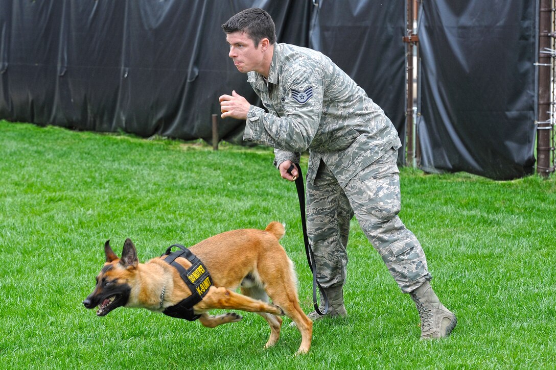 Air Force Staff Sgt. James Matheson releases military working dog Rromesha during a K-9 demonstration on Scott Air Force Base, Ill., April 17, 2015.