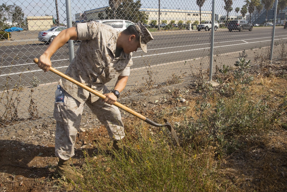 Sgt. Hai Vuong, imagery analyst with Marine Wing Headquarters Squadron (MWHS) 3, digs up a weed during a station-wide cleanup aboard Marine Corps Air Station Miramar, California, April 20. During the cleanup, Marines and Sailors cut grass, pulled weeds and collected trash on base.