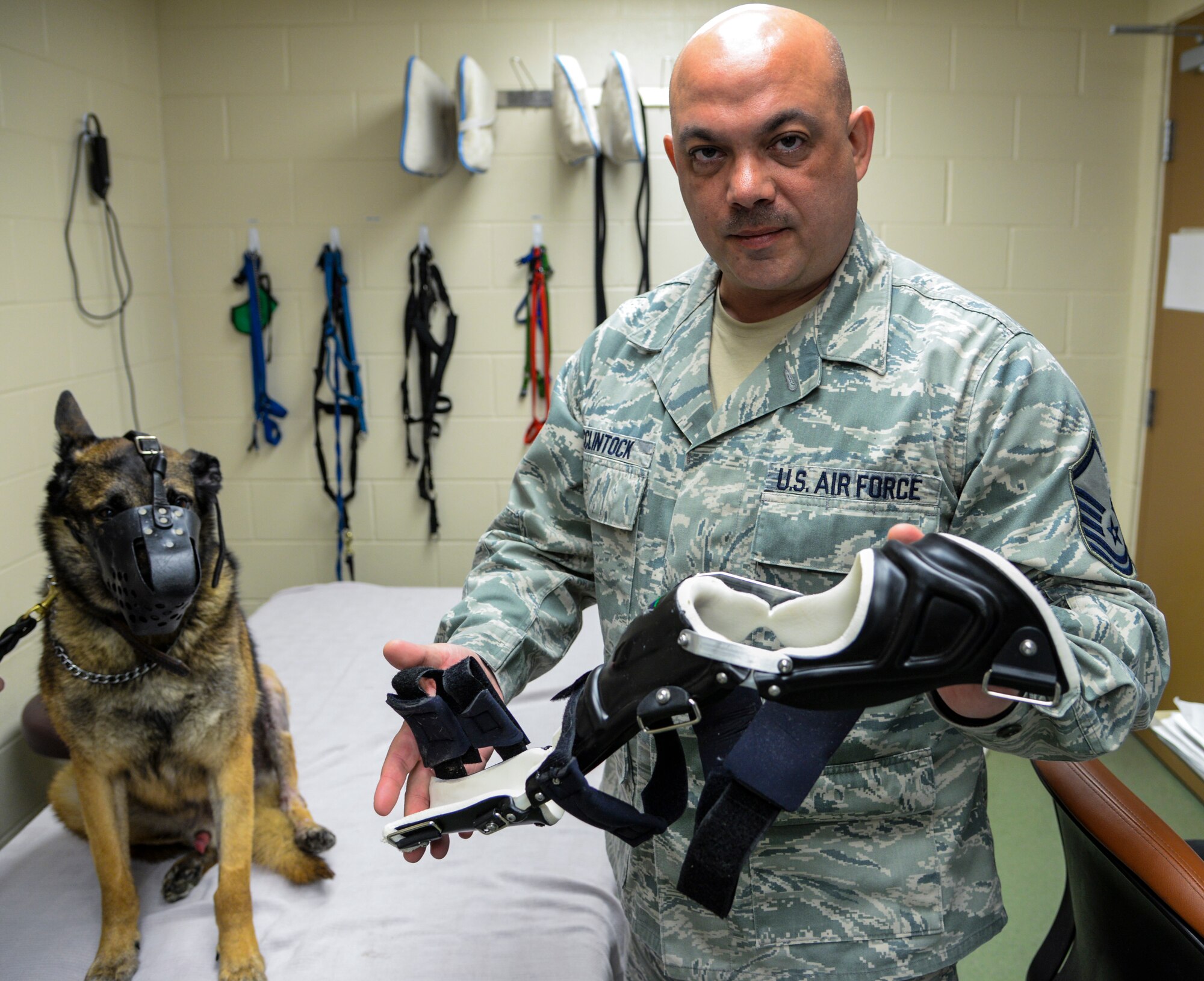 Master Sgt. Sean McClintock, NCO in charge of the 59th Medical Wing Orthotic Lab, displays the brace he modified for Military Working Dog SStash at the Holland Military Working Dog Hospital on Joint Base San Antonio-Lackland, Texas, April 2, 2015. (U.S. Air Force photo / Staff Sgt. Michael Ellis)