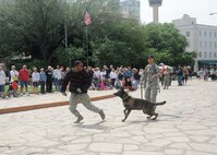 Staff Sgt. Sharif Delarge and Staff Sgt. Mark Devine, 802nd Security Forces military working dogs handlers, and their dog Jany, demonstrate obedience, detection and patrol skills April 20 during Air Force at the Alamo events in conjunction with Fiesta San Antonio. Fiesta San Antonio, the city's 11-day historical celebration, began as a one-time parade in 1891 to honor the memory of the heroes of the Alamo and the Battle of San Jacinto. Over the past century, Fiesta has grown into a celebration of San Antonio's rich and diverse cultures. Military representative from throughout San Antonio participate each year in receptions, parades, pilgrimages and memorials. (U.S. Air Force photo by Melissa Peterson/released)
