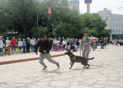 Staff Sgt. Sharif Delarge and Staff Sgt. Mark Devine, 802nd Security Forces military working dogs handlers, and their dog Jany, demonstrate obedience, detection and patrol skills April 20 during Air Force at the Alamo events in conjunction with Fiesta San Antonio. Fiesta San Antonio, the city's 11-day historical celebration, began as a one-time parade in 1891 to honor the memory of the heroes of the Alamo and the Battle of San Jacinto. Over the past century, Fiesta has grown into a celebration of San Antonio's rich and diverse cultures. Military representative from throughout San Antonio participate each year in receptions, parades, pilgrimages and memorials. (U.S. Air Force photo by Melissa Peterson/released)