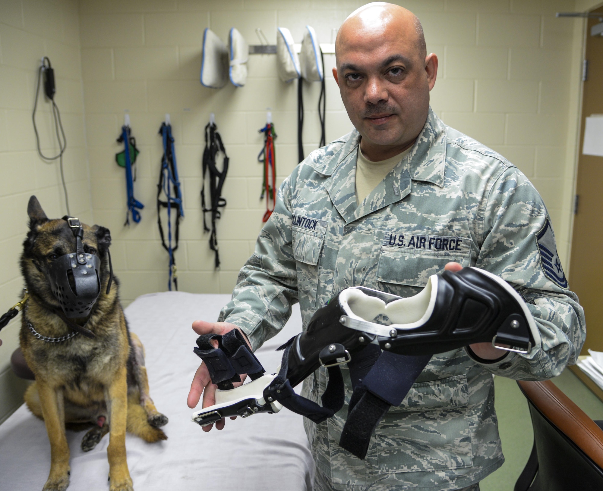 Master Sgt. Sean McClintock, NCO in charge of the 59th Medical Wing Orthotic Lab, displays the brace he modified for Military Working Dog SStash at the Holland Military Working Dog Hospital on Joint Base San Antonio-Lackland, Texas, April 2, 2015. (U.S. Air Force photo by Staff Sgt. Michael Ellis)