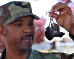 Air Force Staff Sgt. Damien Falconer is the lone pest management specialist in the Nevada Air National Guard. It is his job to eliminate all of the creepy-crawly nuisances on his base in Reno. The mice were used for illustrative purposes and were safely returned to a pet store.