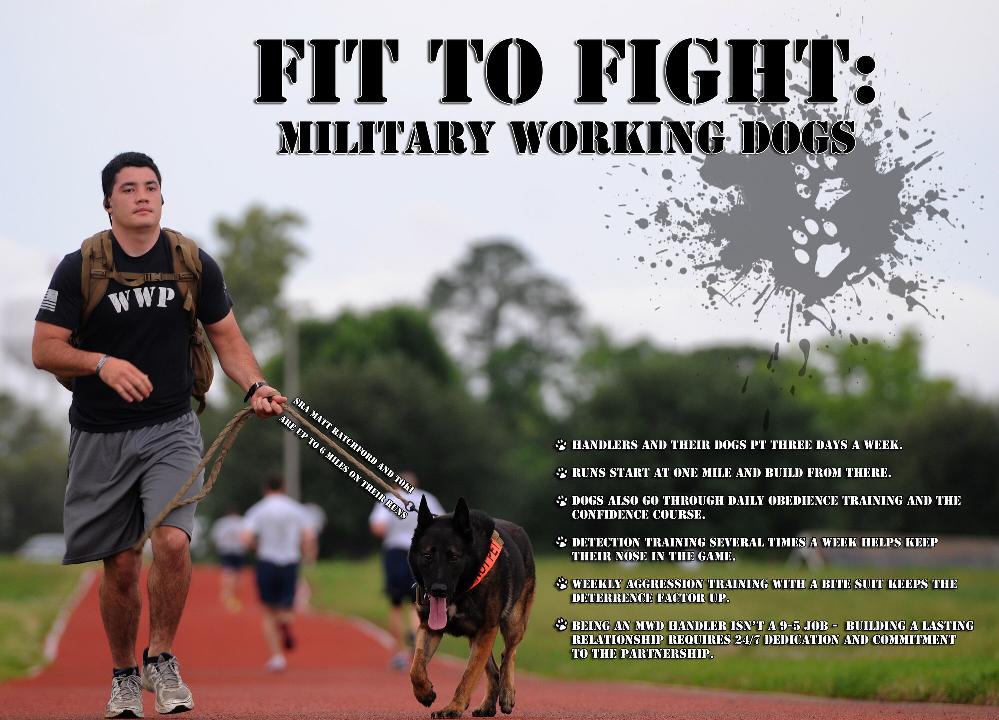 Just like their Airman counterparts, military working dogs have to stay in shape. But unlike their handlers, they need more than cardio and strength training - daily obedience training and runs on the confidence course ensure the dogs can follow orders and stay agile. Detection training for bombs or narcotics in a variety of base locations keep the relationship between handler and dog strong for real-world scenarios, while weekly aggression training keeps the dogs ready to deter threats. Being a working dog handler is not a 9-5 job; handlers go in on their off time to feed and play with their dogs and clean the kennels, perform training demonstrations for outside organizations, and perform physical training. According to Staff Sgt. Jeremy Hayes, 81st Security Forces Squadron military working dog trainer, there are a million ways to train a dog - it’s all about finding what works and building a bond to ensure the duo stays fit to fight in all aspects of the job. (U.S. Air Force photo illustration by Airman 1st Class Duncan McElroy)