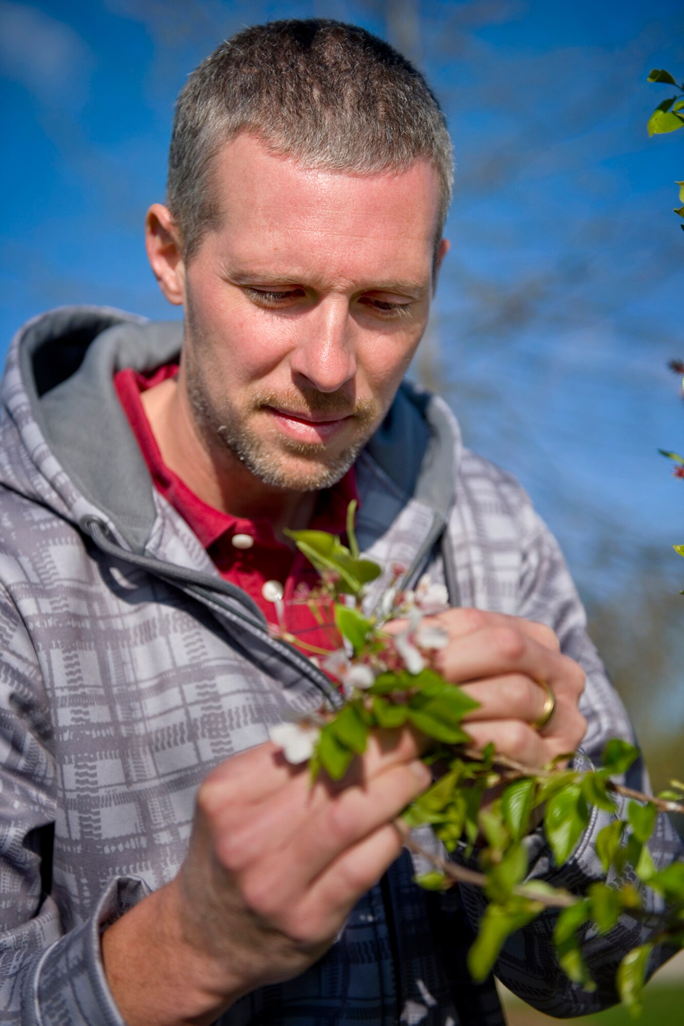 Cory Walters, 434th Civil Engineer Squadron biological scientist, checks the blooms on a Yoshinio cherry tree planted last year at Grissom Air Reserve Base, Ind.,  April 22, 2015. Another tree will be planted during an Arbor Day celebration at 10 a.m. April 24 by the main base flag pole near Bldg. 596. (U.S. Air Force photo/Tech. Sgt. Douglas Hays)