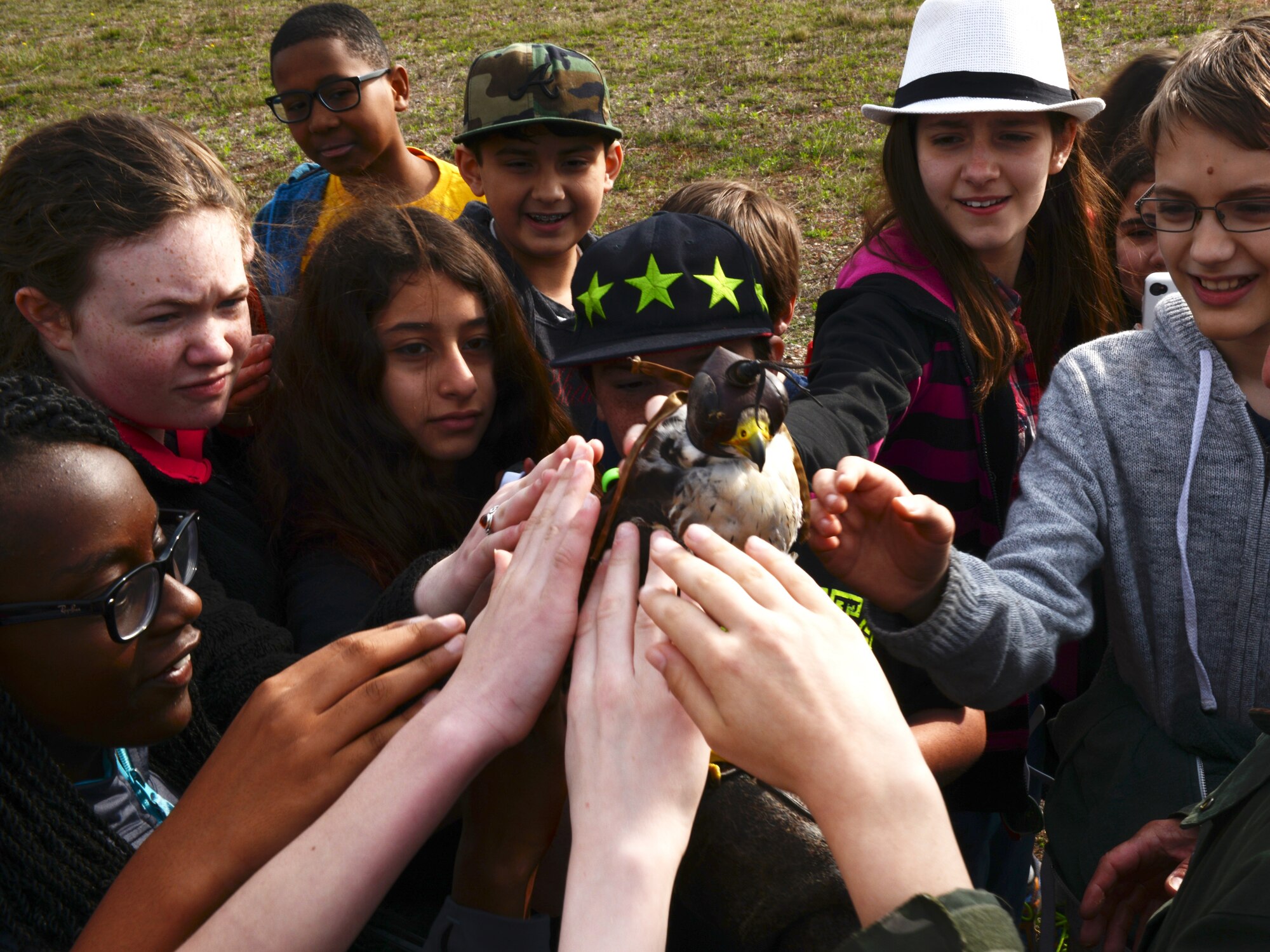 Sixth-grade students from Ramstein Middle School pet a peregrine falcon as a part of a Bird Aircraft Strike Hazard demonstration presented for Earth Day April 16, 2015, at Ramstein Air Base, Germany. A hood was placed over the falcon’s head so that it would not be frightened by the crowd and attempt to fly off. (U.S. Air Force photo/Airman 1st Class Tryphena Mayhugh)